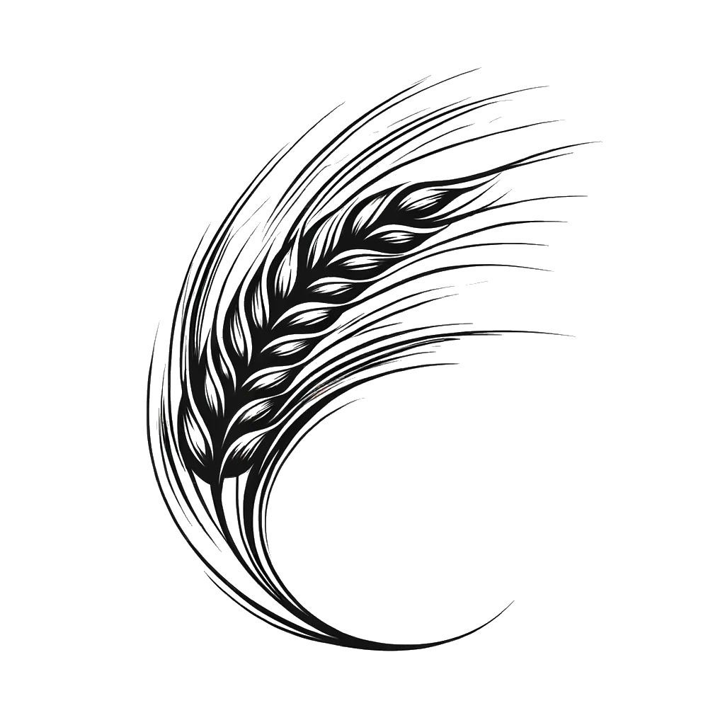 un dibujo de una espiga de trigo representando el tema de Cosecha en blanco y negro.
