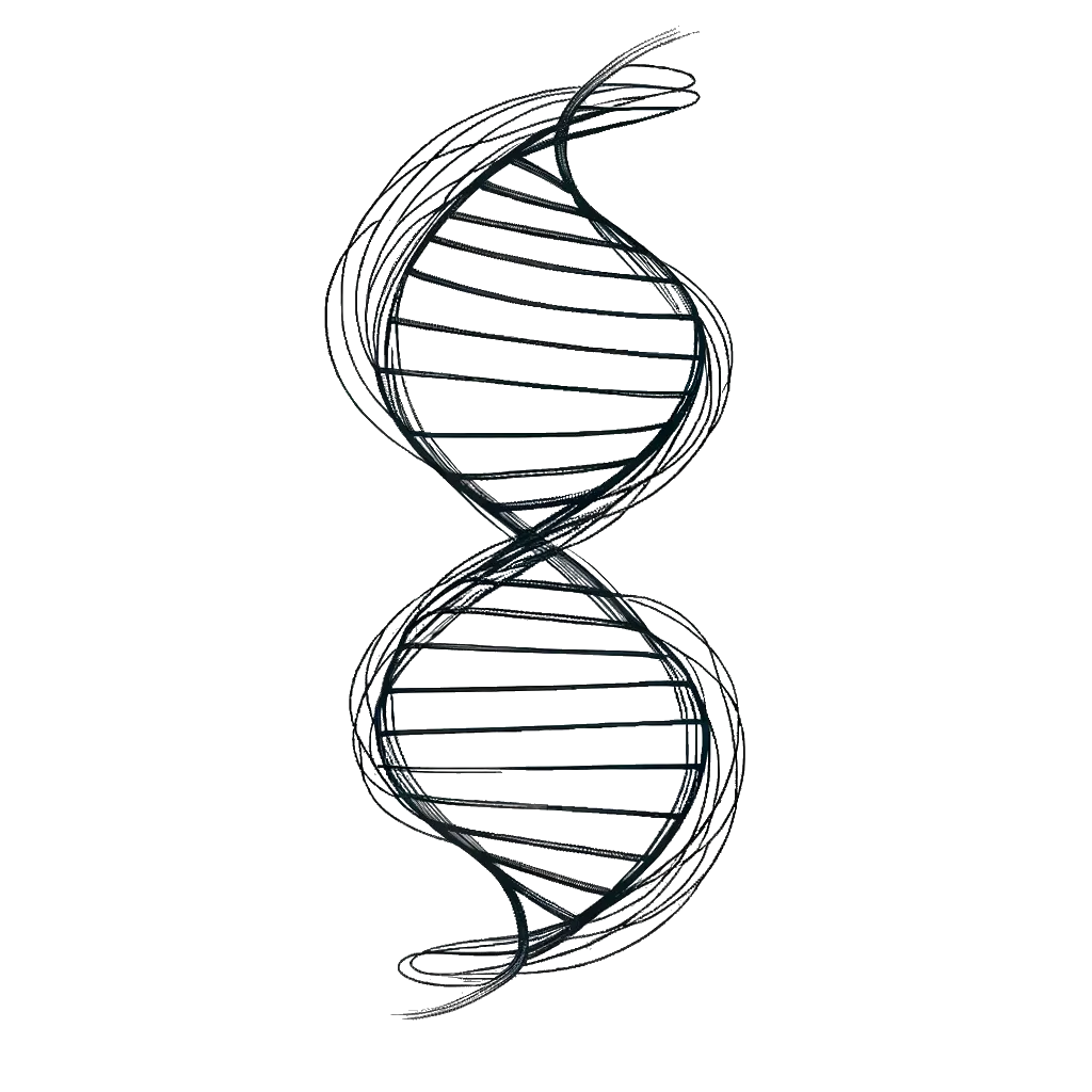 un dibujo de una doble hélice de ADN representando el tema de Predeterminación en blanco y negro.